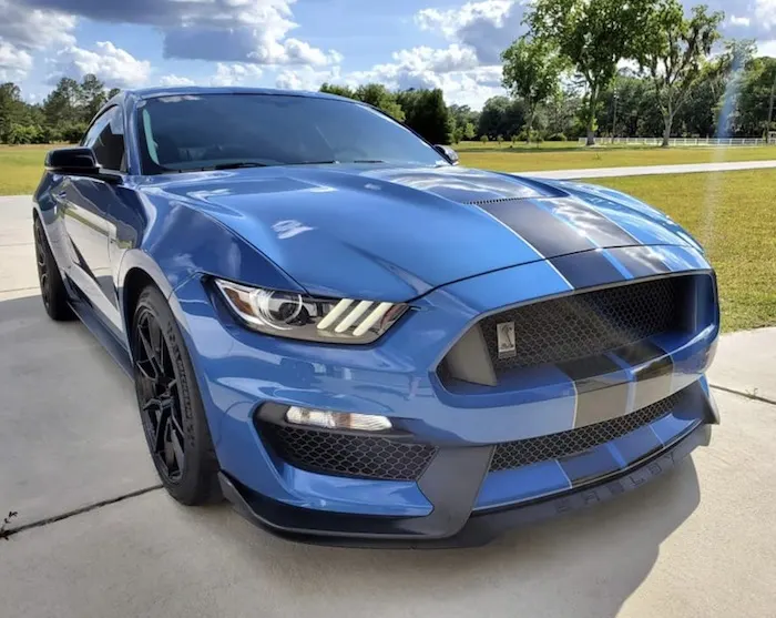 Blue Ford Mustang Shelby GT350